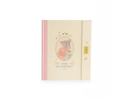 livre de naissance, souris de la petite école de danse, collection moulin roty