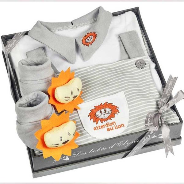Cadeau Bébé garçon - Panier jouets pour enfants - pour les câlins - Lion  mignon 